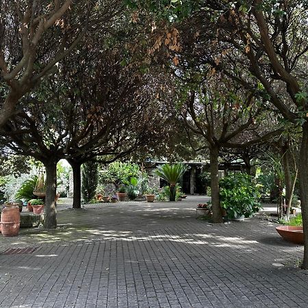 Apartmán Borgo De' Paolis Grottaferrata Exteriér fotografie