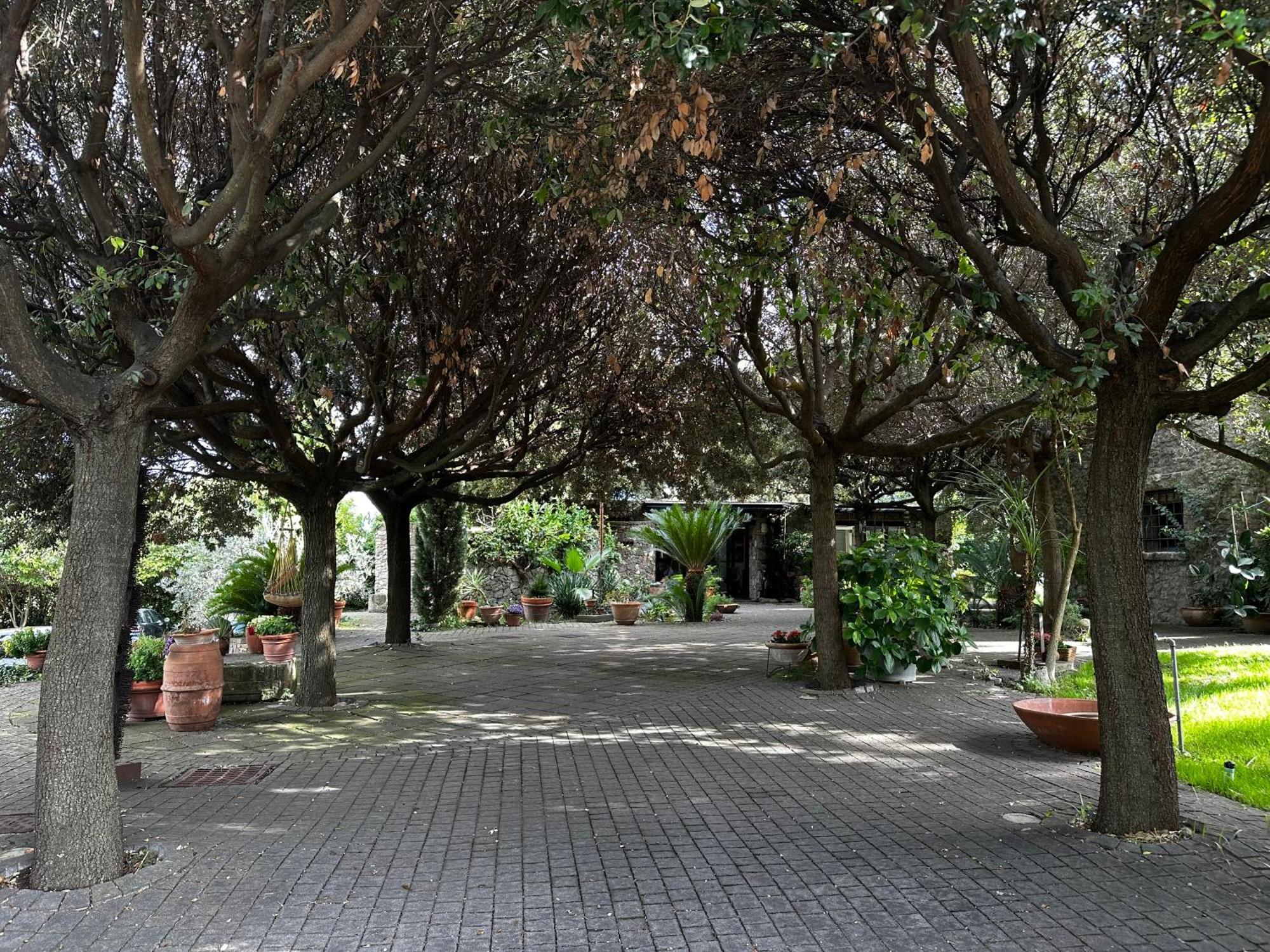 Apartmán Borgo De' Paolis Grottaferrata Exteriér fotografie