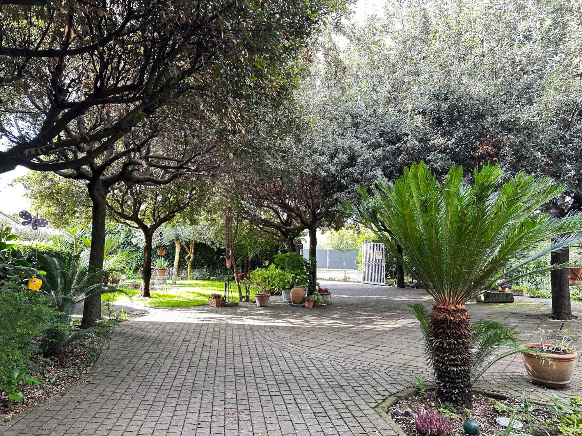 Apartmán Borgo De' Paolis Grottaferrata Exteriér fotografie